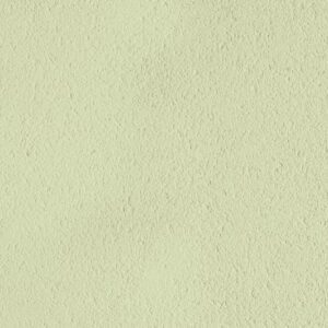 1042 vert clair